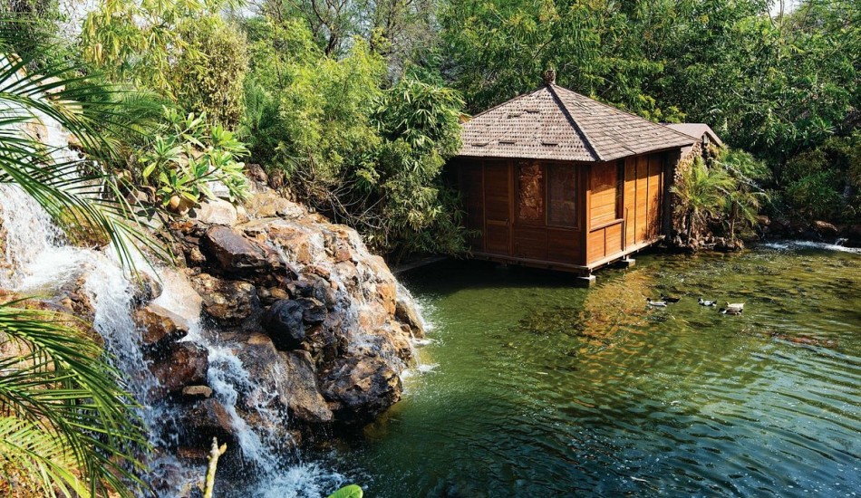 THE TREE HOUSE RESORT